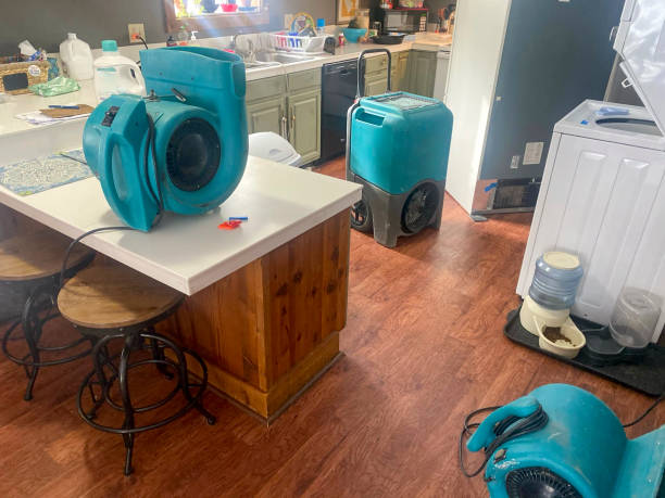 Best Carpet water damage restoration  in South Glens Falls, NY