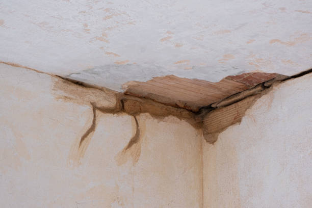 Best Water damage cleanup near me  in South Glens Falls, NY