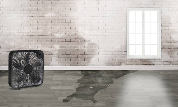 Best Sewage cleanup and water damage restoration  in South Glens Falls, NY